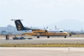 Golden Knights Army parachute team airplane during the Miramar Air Show