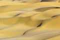 Golden Kumtag desert landscape Royalty Free Stock Photo