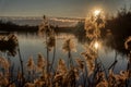 Golden lake view with lake sunset