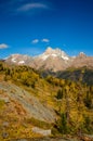 Fall Larch Jumbo Pass Purcell Mountains Royalty Free Stock Photo