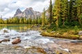 Golden Larch Trees on Moor Lakes at Lake O`Hara in Canadian Rockies Royalty Free Stock Photo