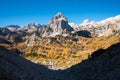 Golden larches in mountains