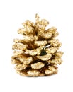 Golden large pine cone Royalty Free Stock Photo