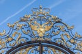 Golden lattice of Catherine Palace against blue sky, Tsarskoye S