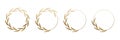 Golden laurel wreath round frame set. Rings with gold leaves, circle award logo or emblem vector illustration. Roman