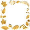 Golden Leaf Border