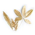 Golden leaf design elements. Decoration elements for invitation, wedding cards, valentines day, greeting cards. Isolated on white