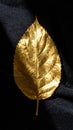 Golden Leaf on Glittery Black Background Illuminated by Bright Studio Light Royalty Free Stock Photo