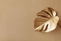 Golden leaf monstera fashion floral minimal concept. Stylish natural background for design and decoration top view