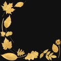 Golden Leaf Selection