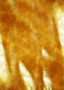 Golden leather texture Royalty Free Stock Photo