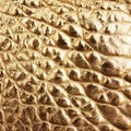 Golden leather texture background Royalty Free Stock Photo