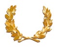 Golden leaves crown Royalty Free Stock Photo