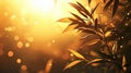 Golden Leaves and Warm Sunlight at Sunset Royalty Free Stock Photo