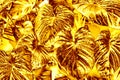 Golden leaves water drops background, gold flower leaf texture, yellow metal tropical foliage backdrop, floral branch pattern Royalty Free Stock Photo