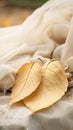 golden leaves and wedding rings on a white cloth Royalty Free Stock Photo