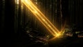 Golden Light Beam Piercing Dark Forest Canopy Royalty Free Stock Photo