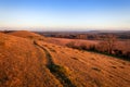 Golden light at Cley hill, looking out across farmland in Wiltshire