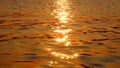 Sun light on river surface with reflection and water wave Royalty Free Stock Photo