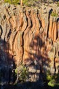 Golden light hitting vertical wavy rock formations on cliff