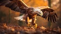 Golden Light: A Lifelike Representation Of An Eagle Swooping Down In A Forest