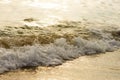 Golden light reflecting off a water wave at the sea and sand on sunset. Pure Gold Royalty Free Stock Photo