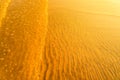 Golden light reflecting off a water wave at the sea and sand on sunset Royalty Free Stock Photo