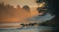 Golden light of scenic river misty landscape at sunrise panorama Royalty Free Stock Photo