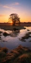 Golden Light: A Stunning Uhd Image Of A Tree In The English Countryside