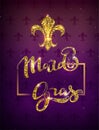 Golden lily silhouette symbol festival mardi gras. Greeting card gold text decoration Royalty Free Stock Photo