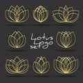 Golden line lotus logo set on black background. Vector gold floral logotypes template. Flower blossom symbols collection of yoga