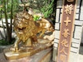 Golden lion in Asia