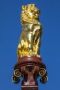 Golden Lion on the Gateway to the Natural History Museum in London