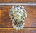 Golden lion head knocker on an old wooden door