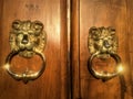 Golden lions, double faces, door details