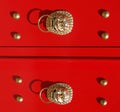 Golden Lions on Red Door