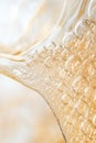 Golden liquid with many small bubbles forming a textured surface with light reflections, suggesting organic processes and cell Royalty Free Stock Photo