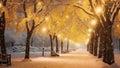 Golden lit snowy park pathway lined with illuminated trees and benches, with tranquil and magical winter atmosphere Royalty Free Stock Photo