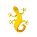 Golden lizard - sparkling Salamander logo