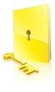 Golden locked book and key