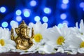 Golden lord Ganesha sculpture in daisy flowers over blue illuminated background. Celebrate lord Ganesha festival Royalty Free Stock Photo