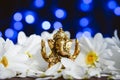 Golden lord ganesha sculpture in daisy flowers over blue illuminated background. Celebrate lord ganesha festival Royalty Free Stock Photo