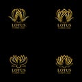 Golden lotus flower logo. Vector design template of lotus icon on dark background with golden effect for eco, beauty, spa, yoga, Royalty Free Stock Photo