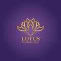 Golden lotus flower logo. Vector design template of lotus icon on dark background with golden effect for eco, beauty, spa, yoga, Royalty Free Stock Photo