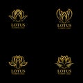 Golden lotus flower logo. Vector design template of lotus icon on dark background with golden effect for eco, beauty, spa, yoga, Royalty Free Stock Photo
