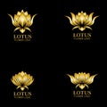 Golden lotus flower logo. Vector design template of lotus icon on dark background with golden effect for eco, beauty, spa, yoga, Royalty Free Stock Photo