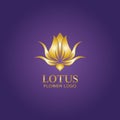 Golden lotus flower logo. Vector design template of lotus icon on dark background with golden effect for eco, beauty, spa, yoga, Royalty Free Stock Photo