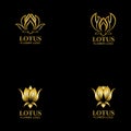 Golden lotus flower logo. Vector design template of lotus icon on dark background with golden effect for eco, beauty, spa, yoga, Royalty Free Stock Photo