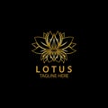 Golden lotus flower logo. Vector design template of lotus icon on dark background with golden effect for eco, beauty, spa, yoga, Royalty Free Stock Photo