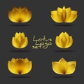 Golden lotus logos set on black background. Vector gold floral logotypes template of beauty salon. Flower blossom symbols